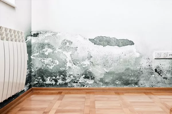 Prestation d'urgence : trace de moisissure dans une salle de bain, Nîmes, EK Plomberie